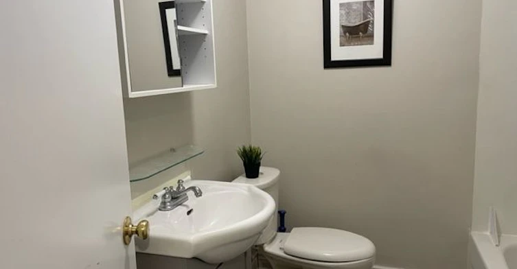 Bsmt-53 Moray Avenue, Richmond Hill, ON, L4E 3C4 - 9