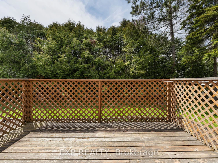 32 Louisa Street, Georgina, ON, L0E 1L0 - 39