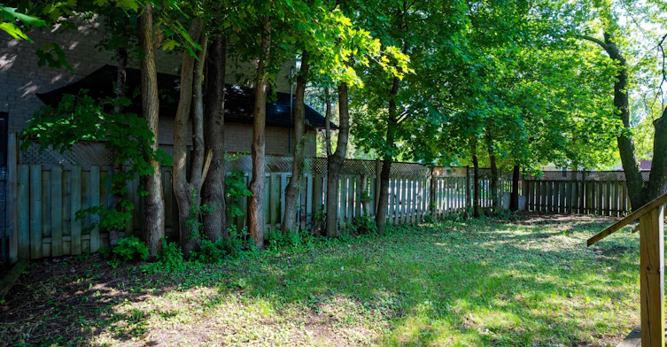 Main-343 Elmwood Avenue, Richmond Hill, ON, L4C 1L7 - 33