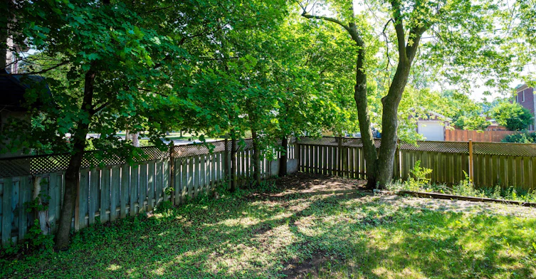 Main-343 Elmwood Avenue, Richmond Hill, ON, L4C 1L7 - 34