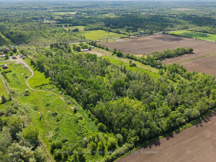 Lot 17 Mccowan Road, Georgina, ON, L0E 1R0 - 5