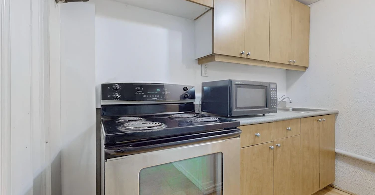 Bsmt-81 Lillooet Crescent, Richmond Hill, ON, L4C 5A6 - 6