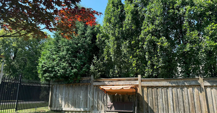 BSMT-1 Clarkehaven Street, Vaughan, ON, L4J 9E8 - 16