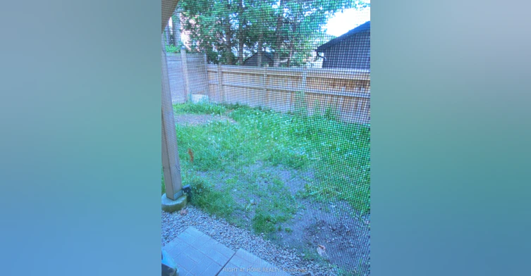 Lower Level-65 Ruffle Lane Lane N, Richmond Hill, ON, L4E 2V1 - 6