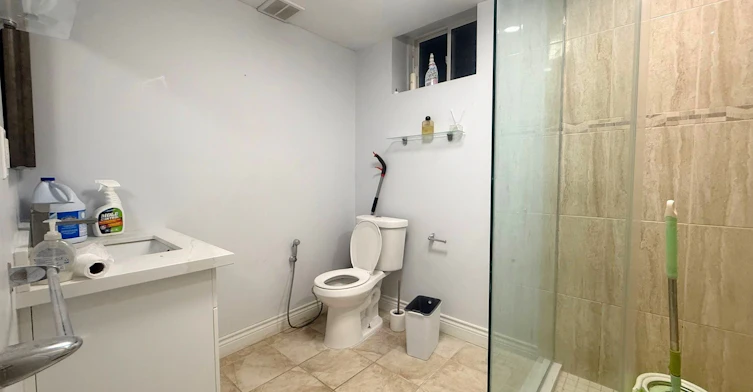 Bsmt-45 Mancini Crescent, Richmond Hill, ON, L4E 0T1 - 9