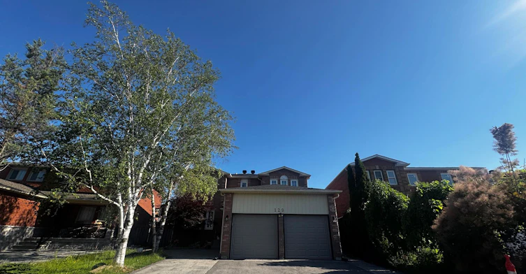 Bsmt-129 Bernard Avenue, Richmond Hill, ON, L4C 9Z6