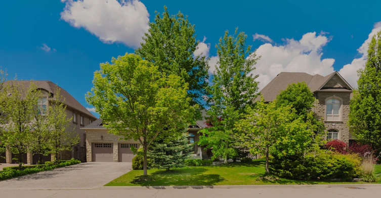 Full-56 Park Ridge Drive, Vaughan, ON, L0J 1C0 - 43