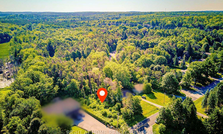 16895 Mccowan Road