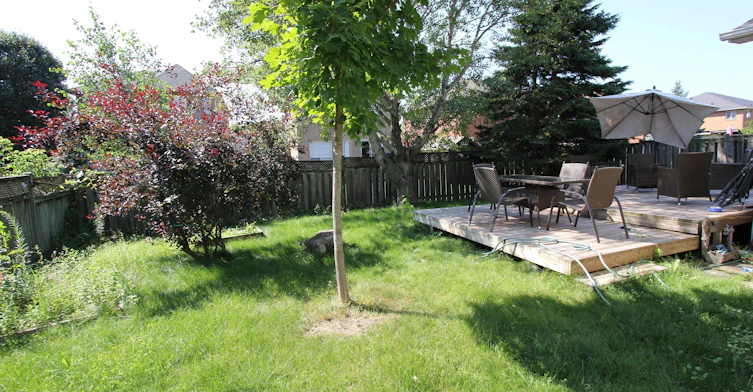 47 Rinaldo Road, Georgina, ON, L4P 3X9 - 26