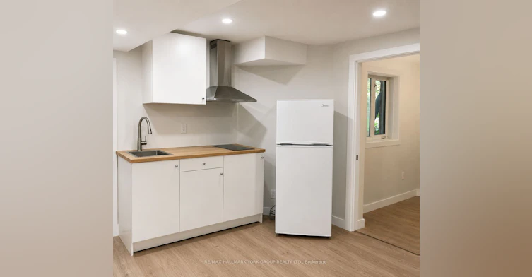 Basement-111 Worthington Avenue, Richmond Hill, ON, L4E 3Z6 - 4