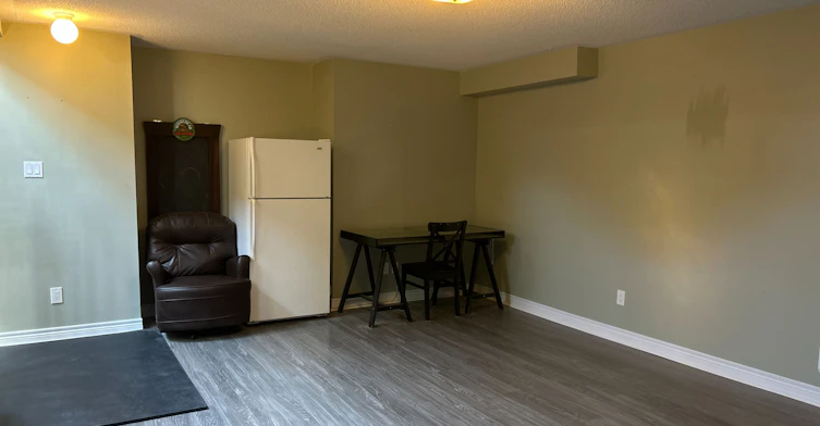 49 John Link Avenue, Georgina, ON, L0E 1R0 - 13