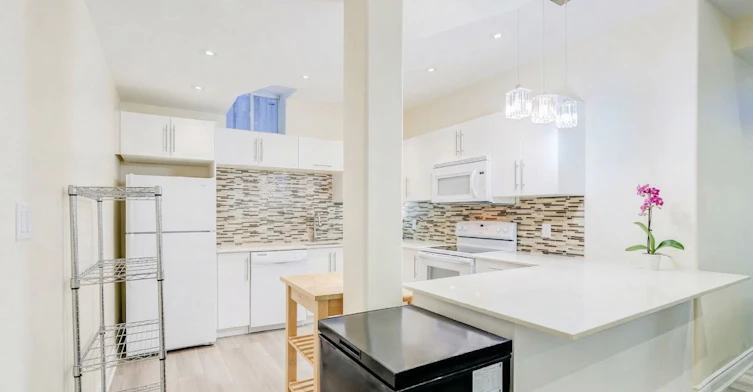 Bsmt-161 Vanda Drive, Vaughan, ON, L6A 4G1 - 3