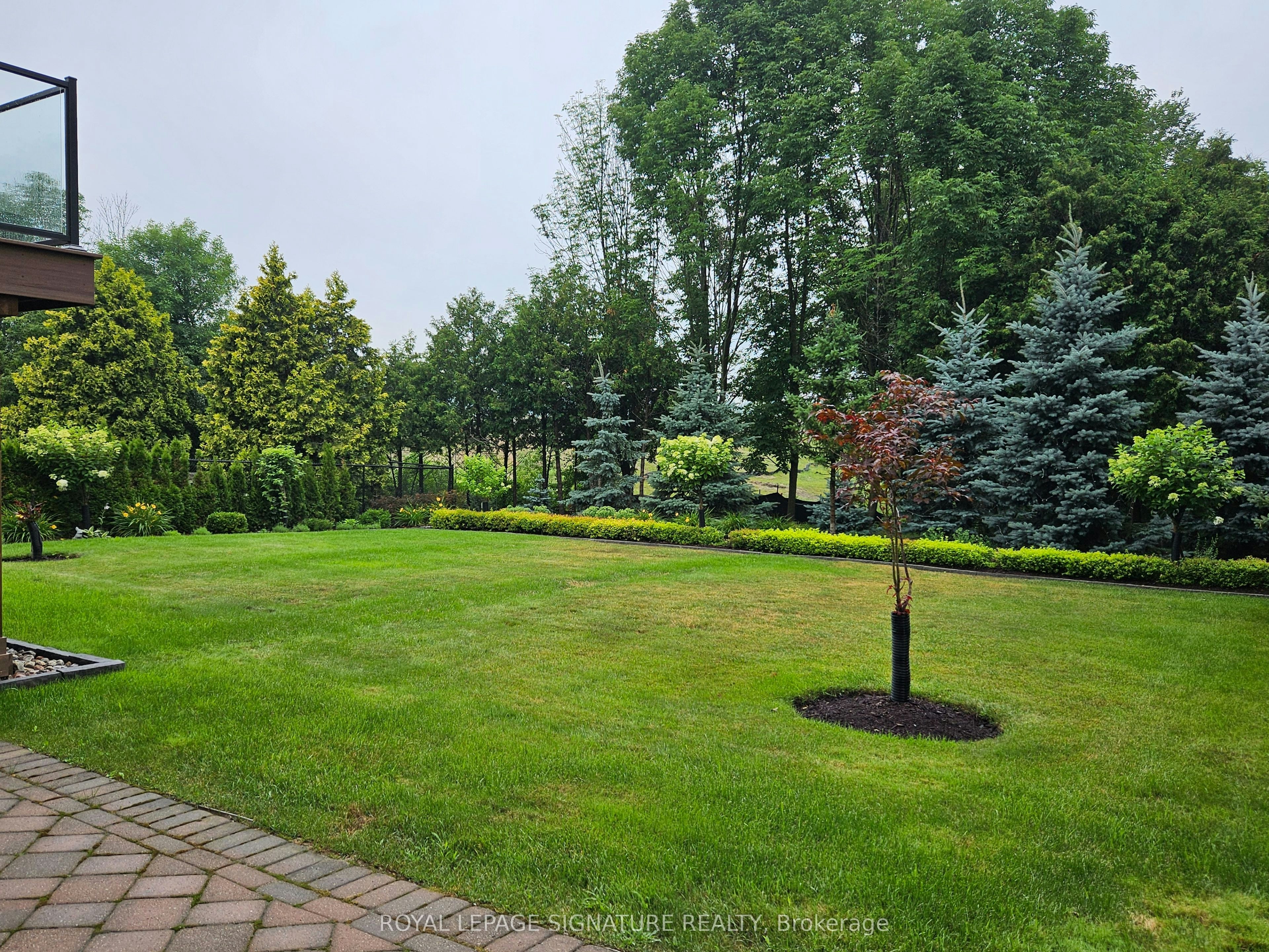 Lower-30 Craigleith Crescent, Richmond Hill, ON, L4E 2S1 - 14