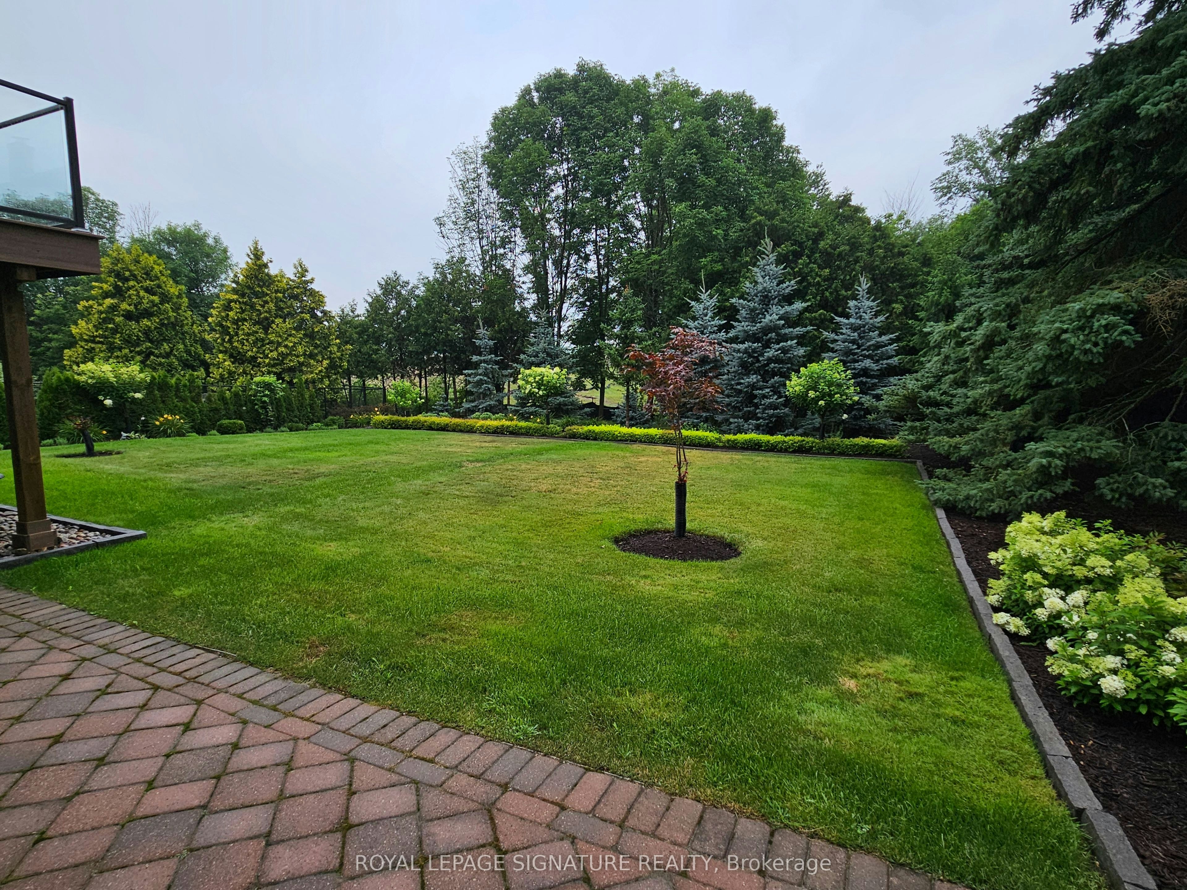 Lower-30 Craigleith Crescent, Richmond Hill, ON, L4E 2S1 - 15