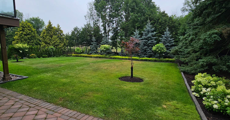 Lower-30 Craigleith Crescent, Richmond Hill, ON, L4E 2S1 - 15