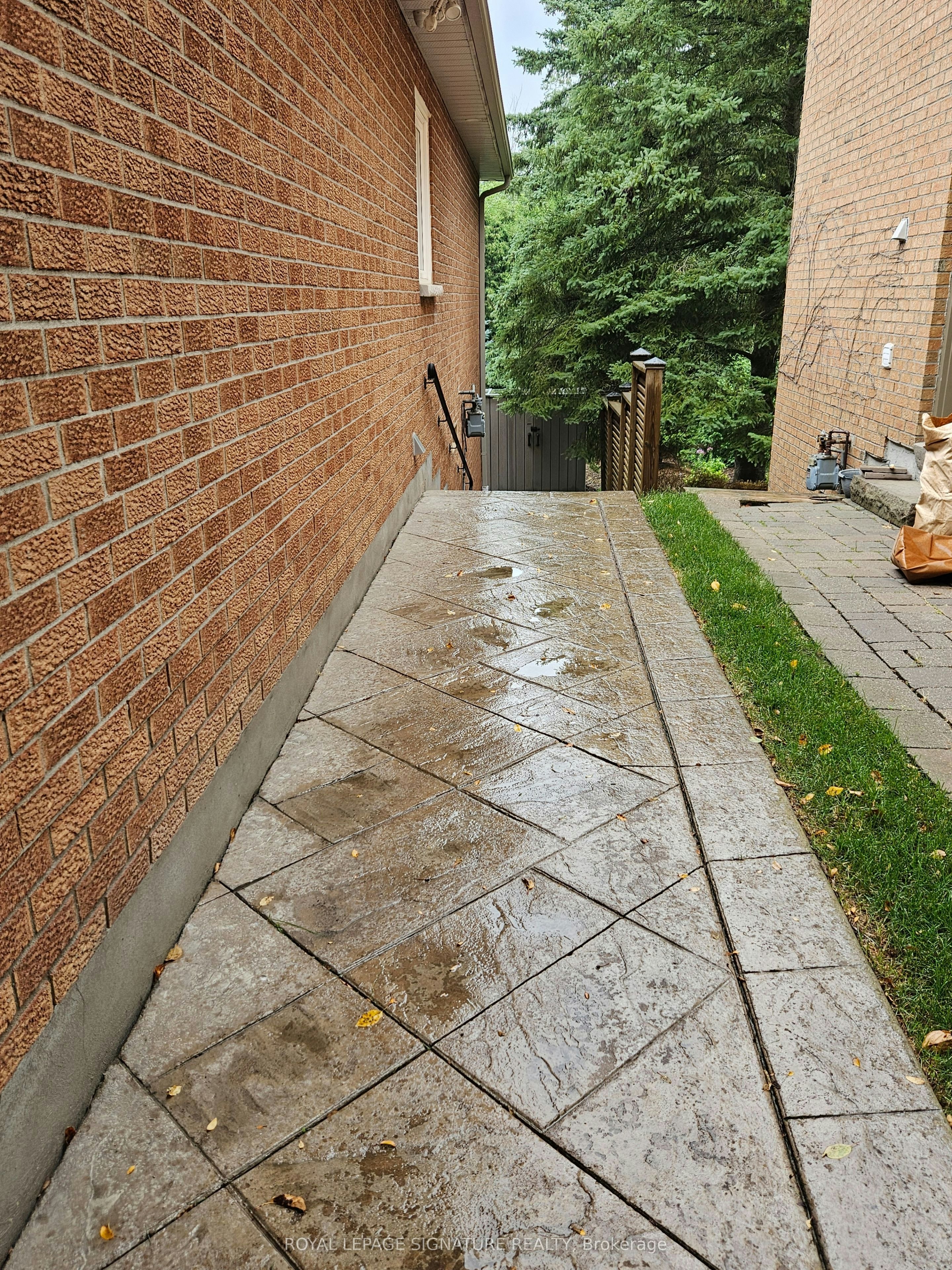 Lower-30 Craigleith Crescent, Richmond Hill, ON, L4E 2S1 - 4
