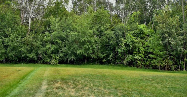 55 Shelson Place, Georgina, ON, L0E 1R0 - 2