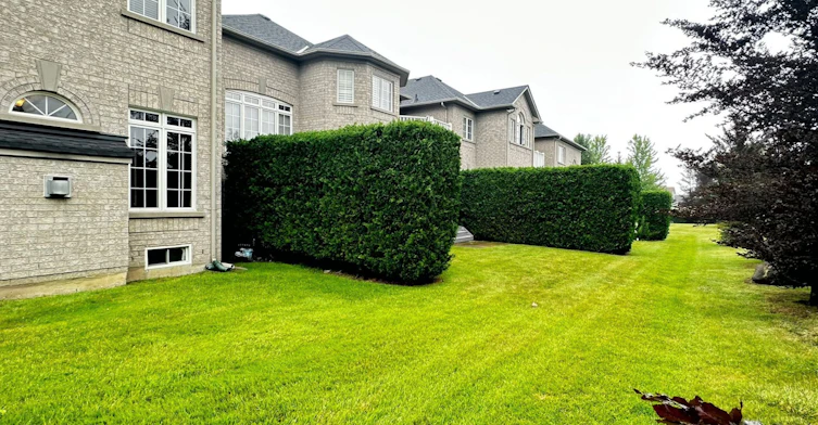 64-85 Stonecliffe Crescent, Aurora, ON, L4G 7Z7 - 29