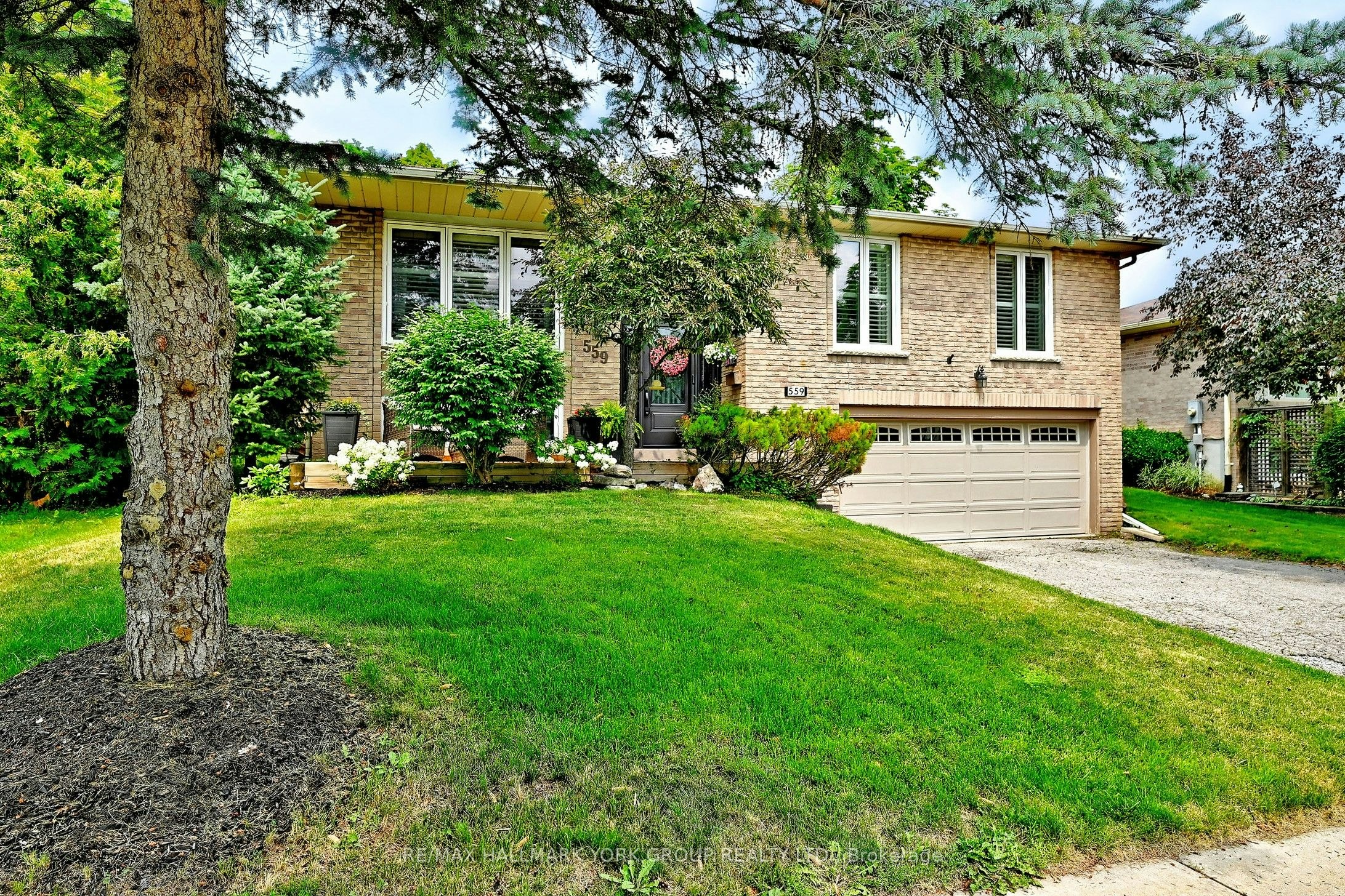 559 Haines Road, Newmarket, ON, L3Y 6V4