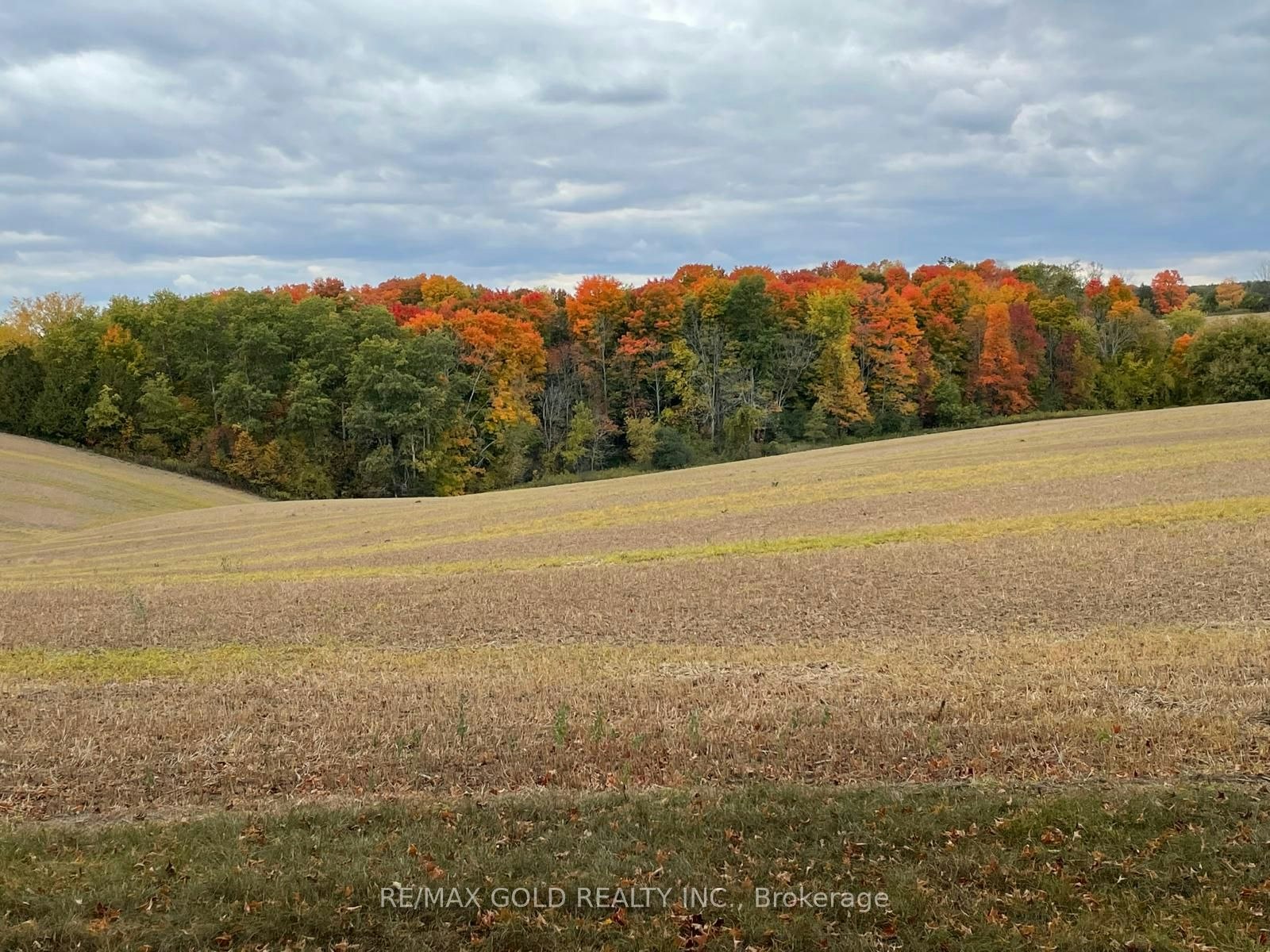 7815 15th Side Road, King, ON, L0G 1T0 - 5