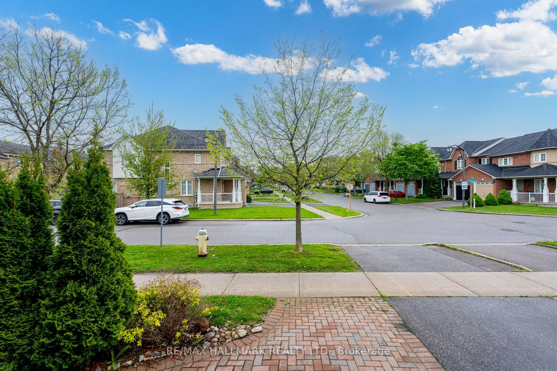 Bsmt-97 Maple Ridge Crescent, Markham, ON, L6E 1T9 - 6