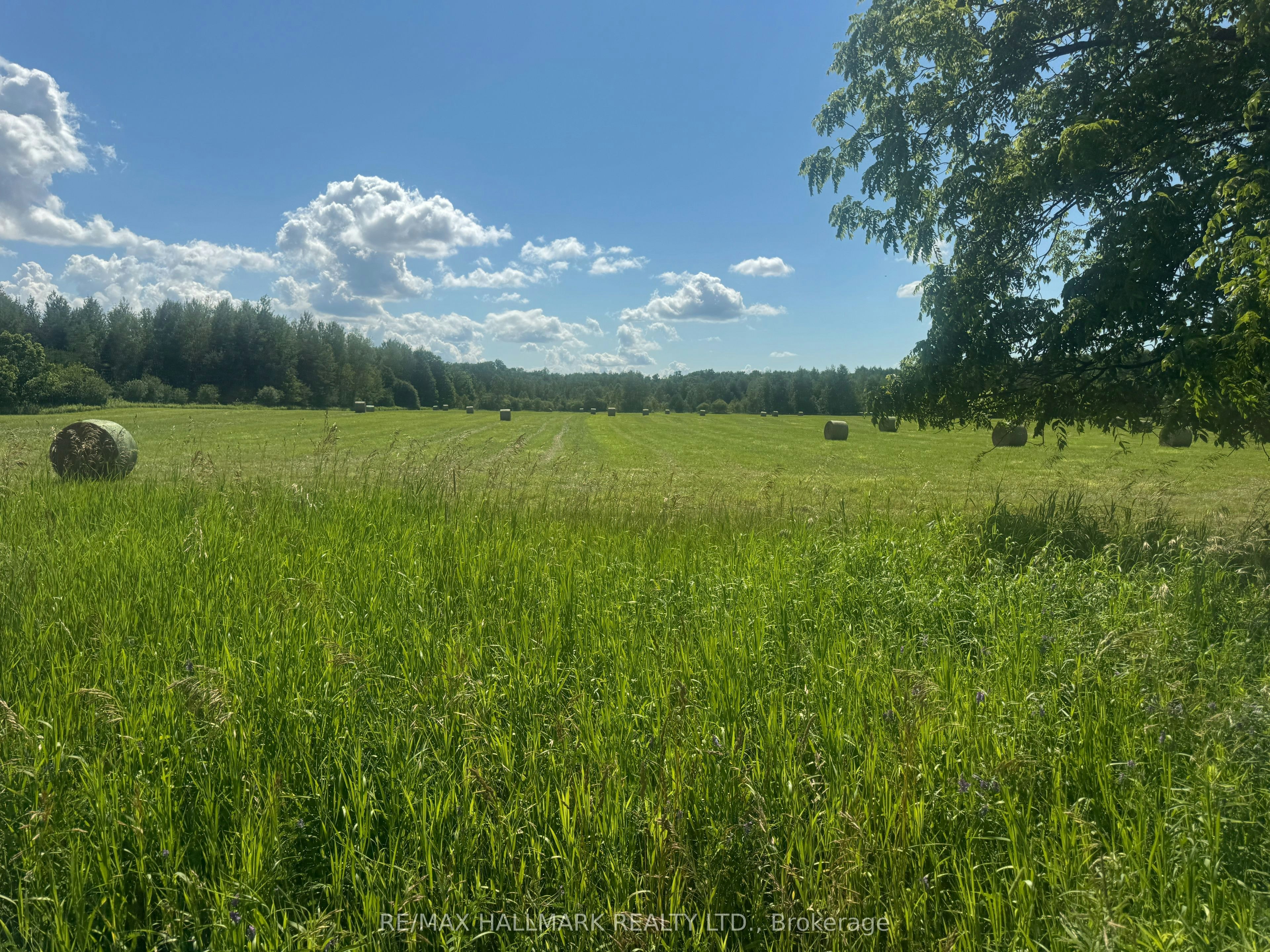 17236 Kennedy Road, Whitchurch-Stouffville, ON, L4A 2L9