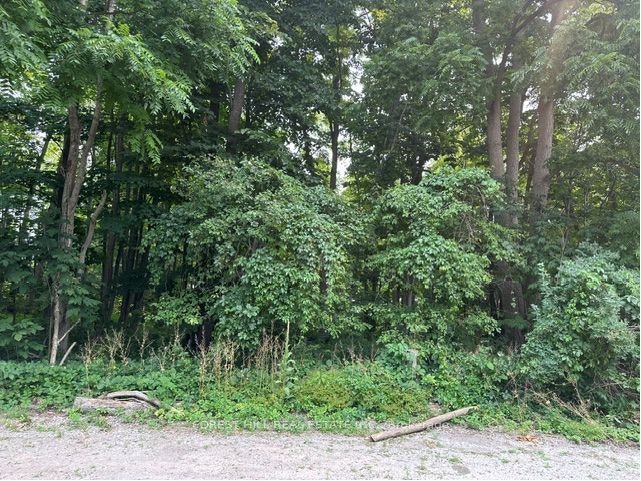 2728 25th Side Road, Innisfil, ON, L9S 3T5