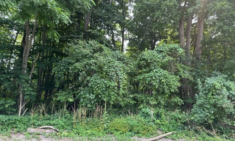 2728 25th Side Road