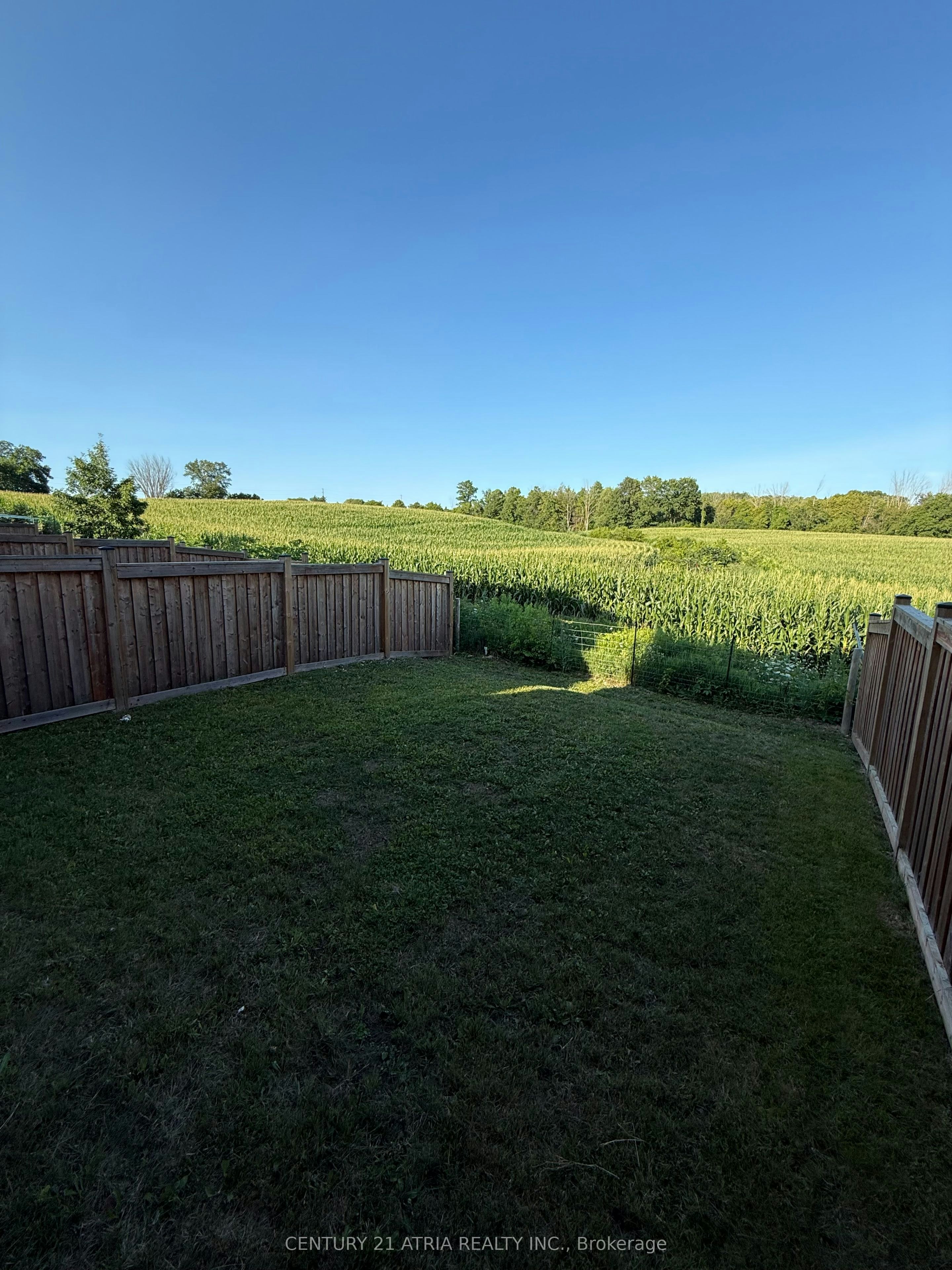 345 Silk Twist Drive, East Gwillimbury, ON, L9N 1R8 - 20