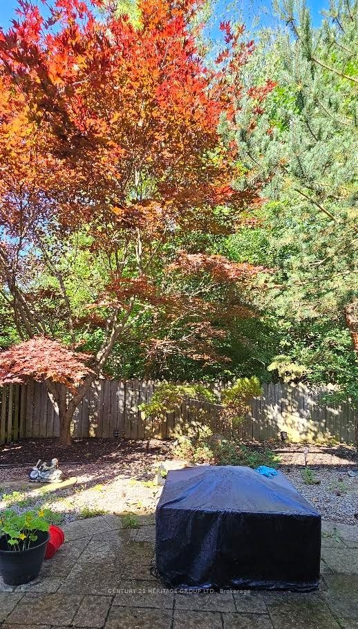 Bsmt-30 Wood Rim Drive, Richmond Hill, ON, L4E 4E7 - 11