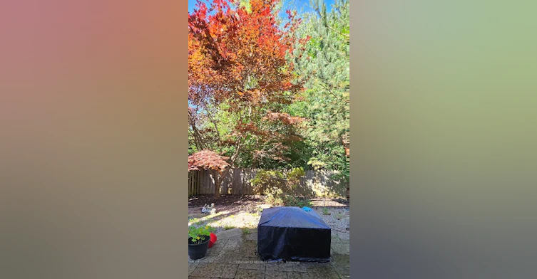 Bsmt-30 Wood Rim Drive, Richmond Hill, ON, L4E 4E7 - 11