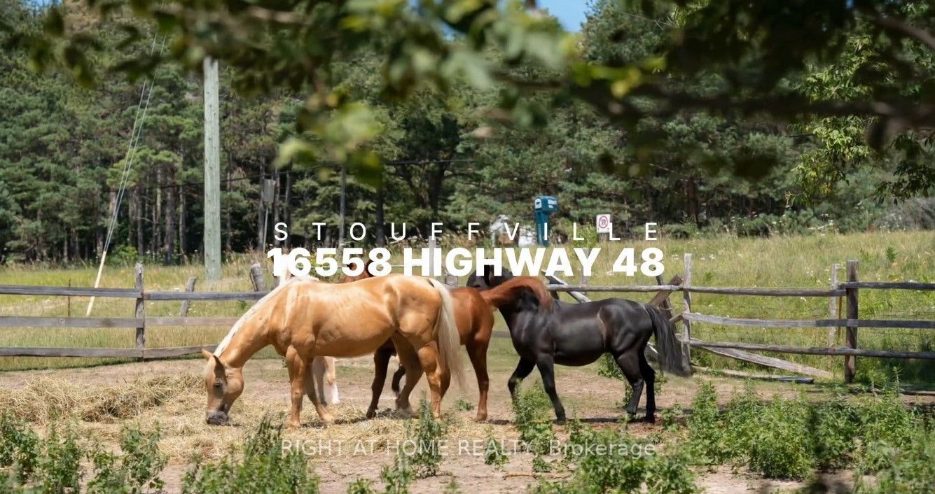 16558 Highway 48 N/A, Whitchurch-Stouffville, ON, L4A 7X4