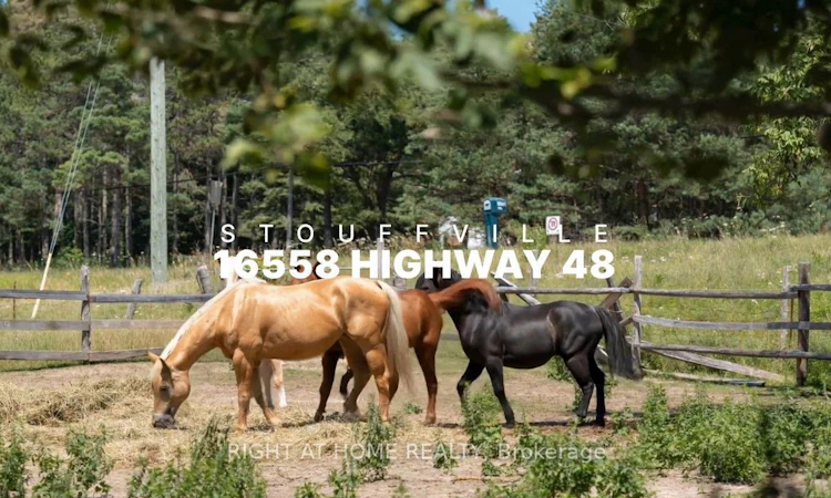 16558 Highway 48 N/A
