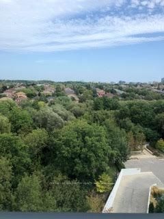 306-8763 Bayview Avenue, Richmond Hill, ON, L4B 3V1 - 7