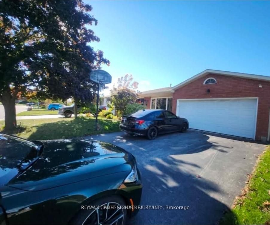 Bsmt-304 Orsi Avenue, Bradford West Gwillimbury, ON, L3Z 1B7 - 13