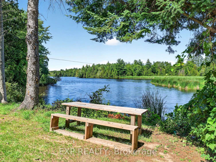1 Aird Court, Georgina, ON, L0E 1A0 - 45