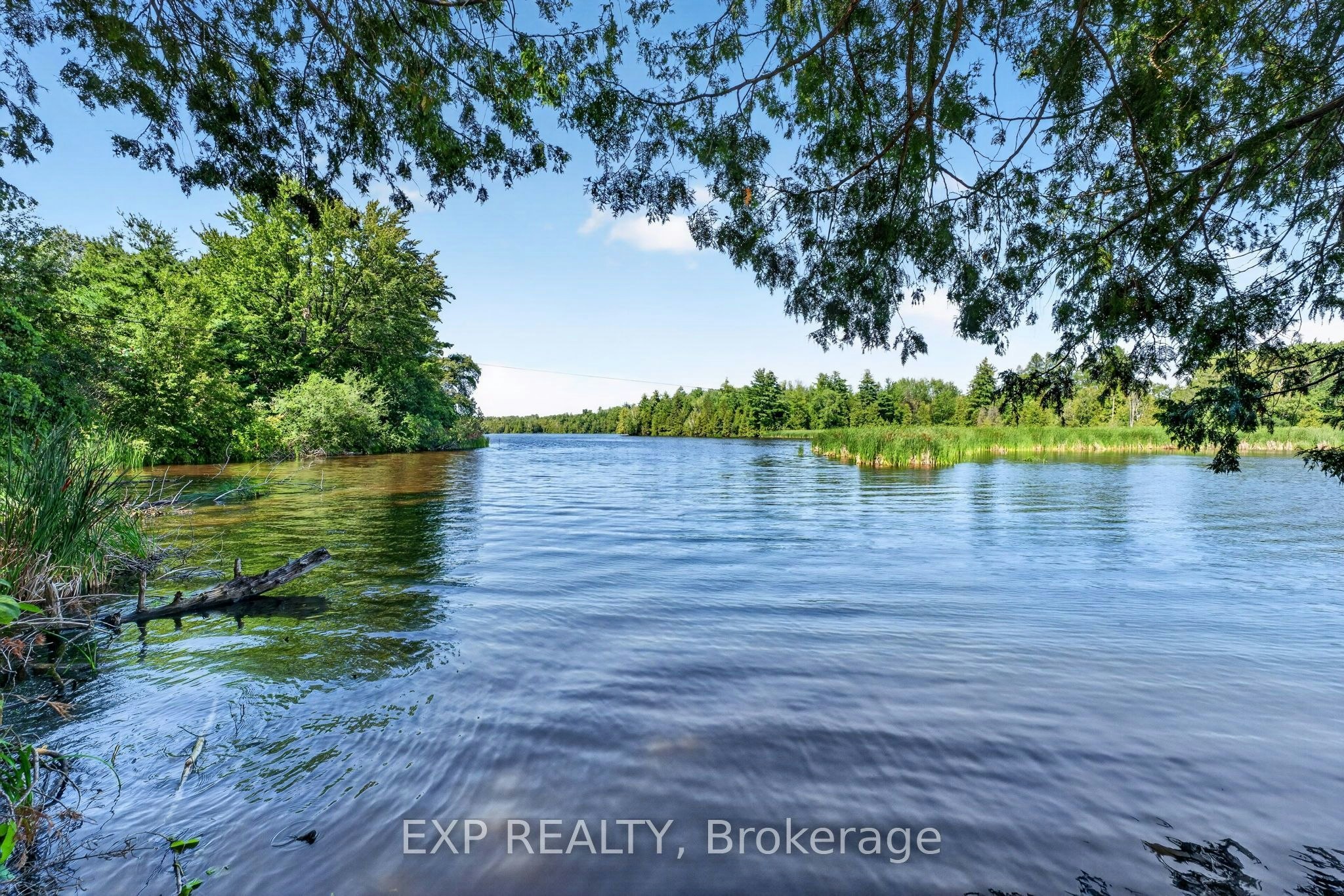 1 Aird Court, Georgina, ON, L0E 1A0 - 44