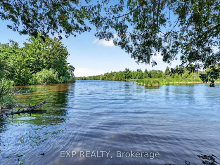 1 Aird Court, Georgina, ON, L0E 1A0 - 44