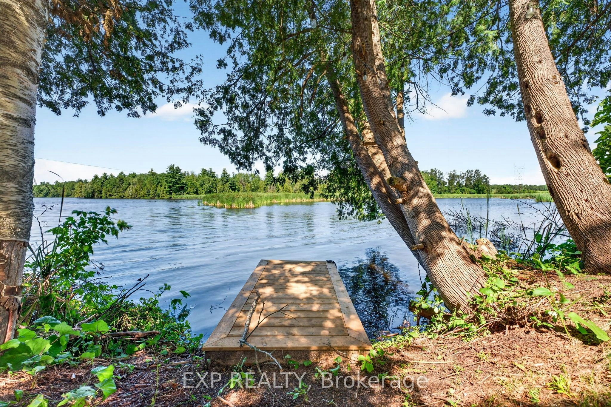 1 Aird Court, Georgina, ON, L0E 1A0 - 43