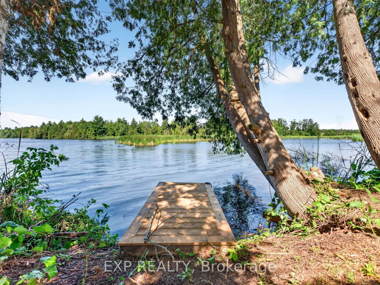 1 Aird Court, Georgina, ON, L0E 1A0 - 43