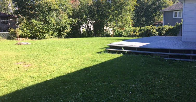 789 Carol Avenue, Georgina, ON, L0E 1S0 - 10