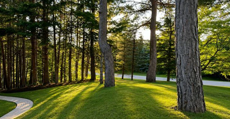 18 Loggers Trail, Whitchurch-Stouffville, ON, L3Y 4W1 - 9
