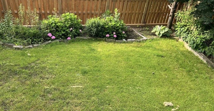 17 Cygnus Drive, Richmond Hill, ON, L4C 8P4 - 18