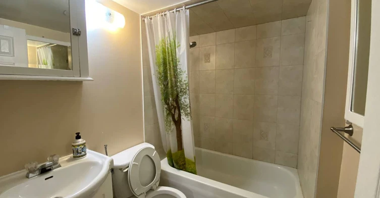 Bsmt-260 Axminster Drive, Richmond Hill, ON, L4C 2W1 - 7
