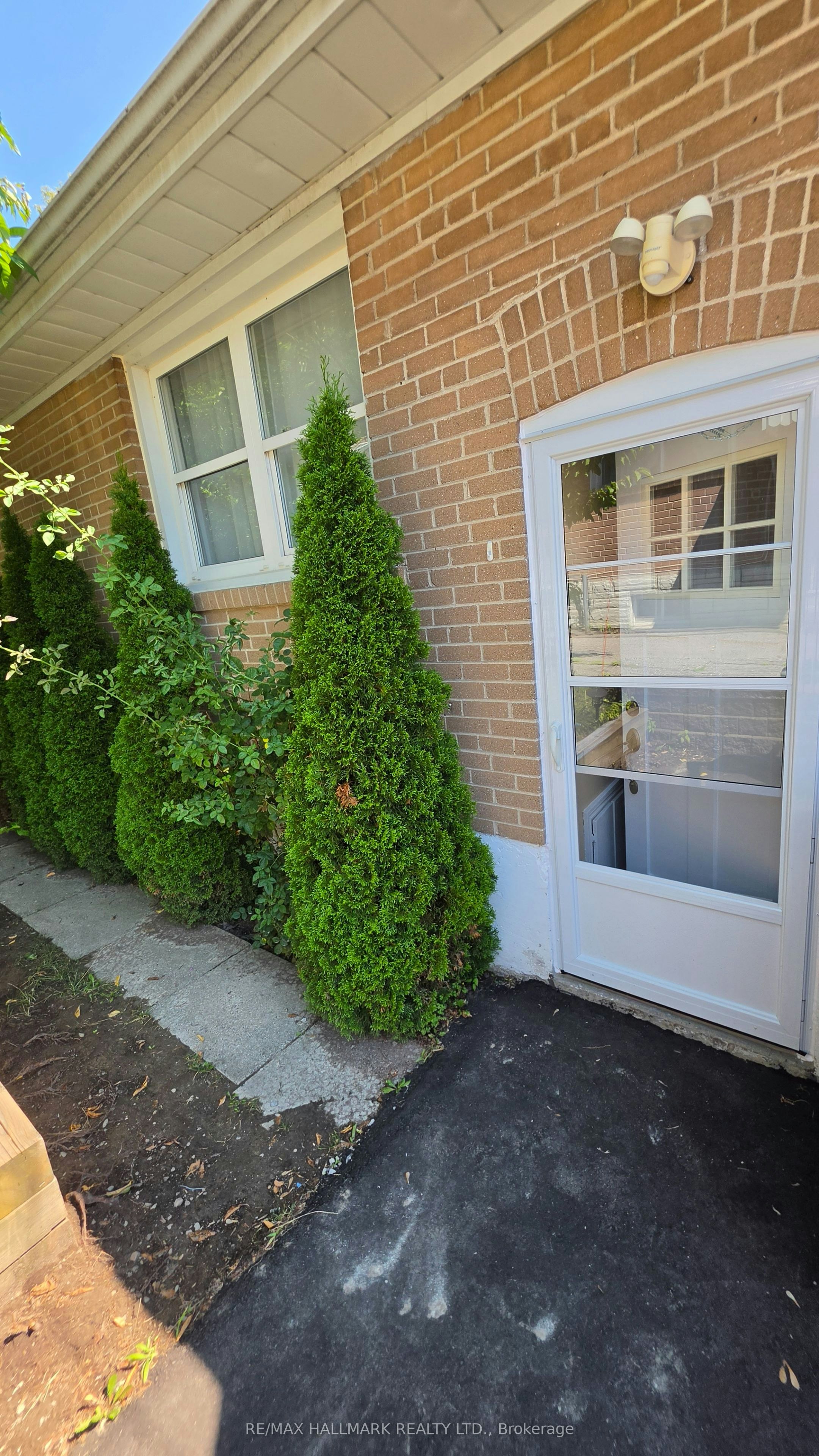 Lower Level-187 Septonne Avenue, Newmarket, ON, L3Y 2W5 - 3