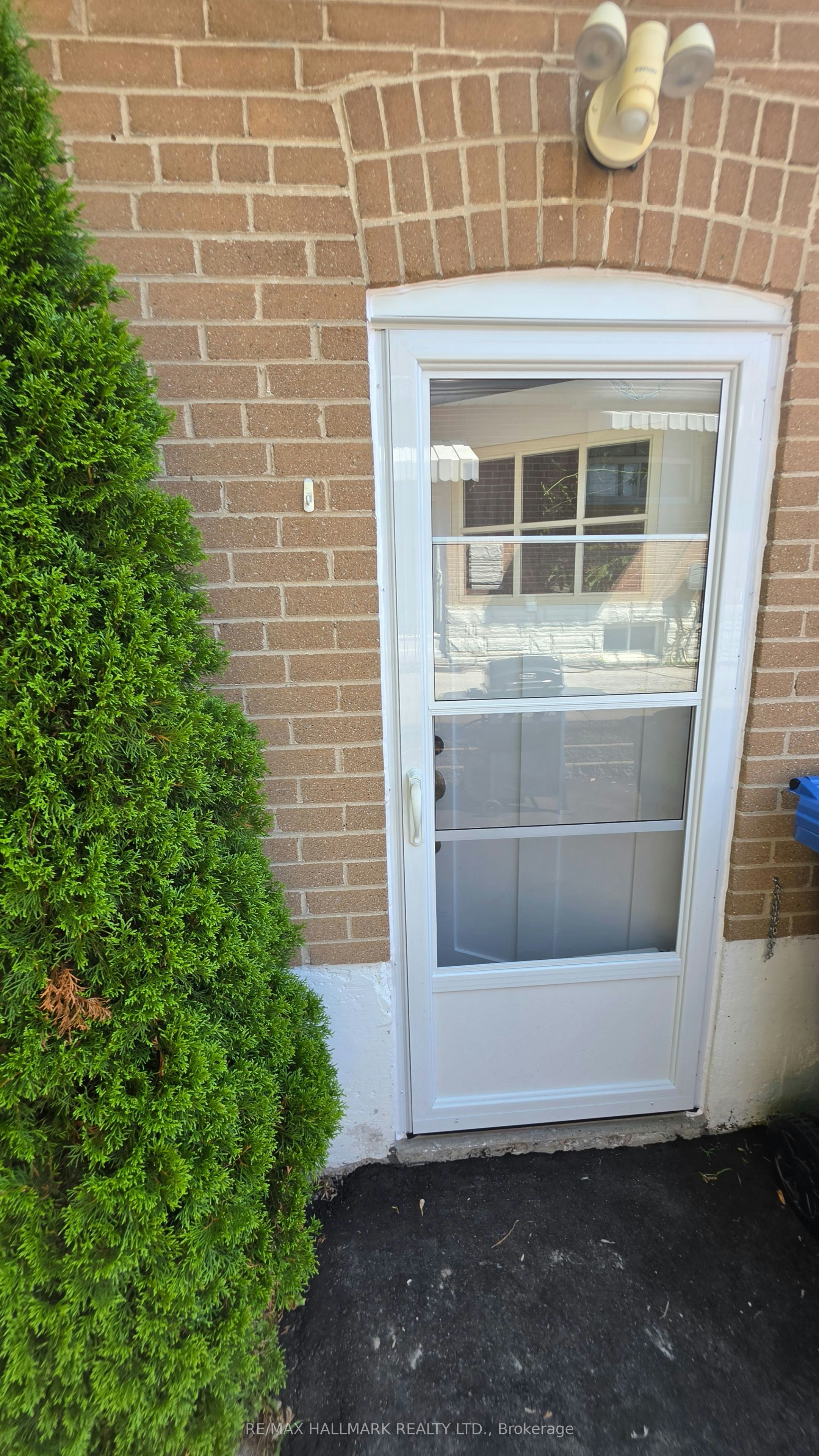 Lower Level-187 Septonne Avenue, Newmarket, ON, L3Y 2W5 - 2