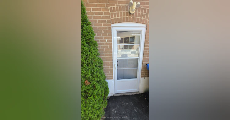 Lower Level-187 Septonne Avenue, Newmarket, ON, L3Y 2W5 - 2