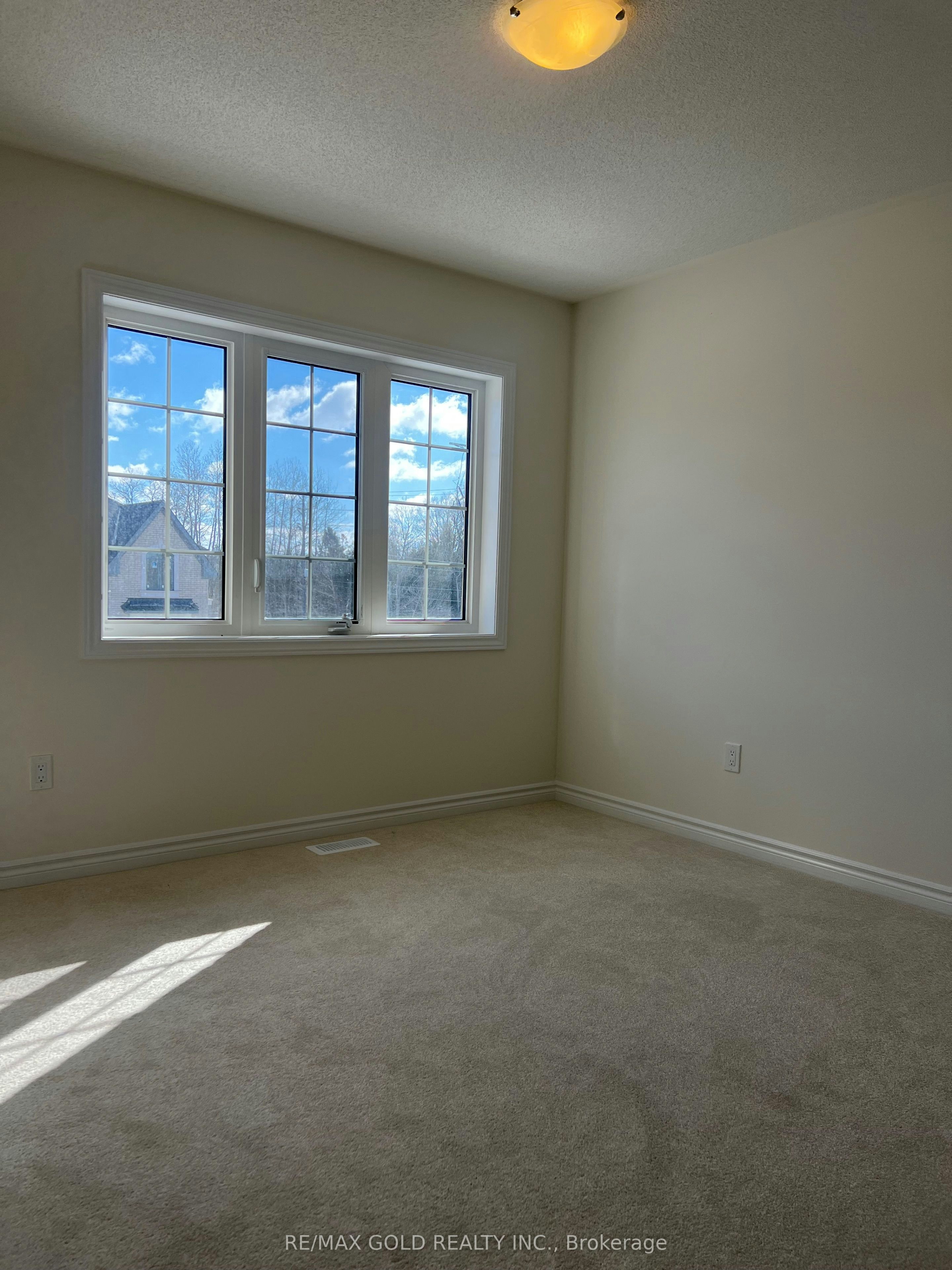 4 Lawrence D. Pridham Avenue, New Tecumseth, ON, L6R 0X1 - 14