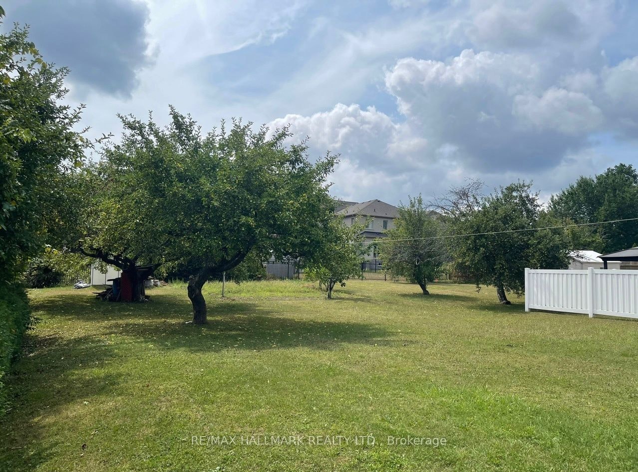 227 Elgin Mills(main Floor) Road W, Richmond Hill, ON, L4C 4M1 - 18