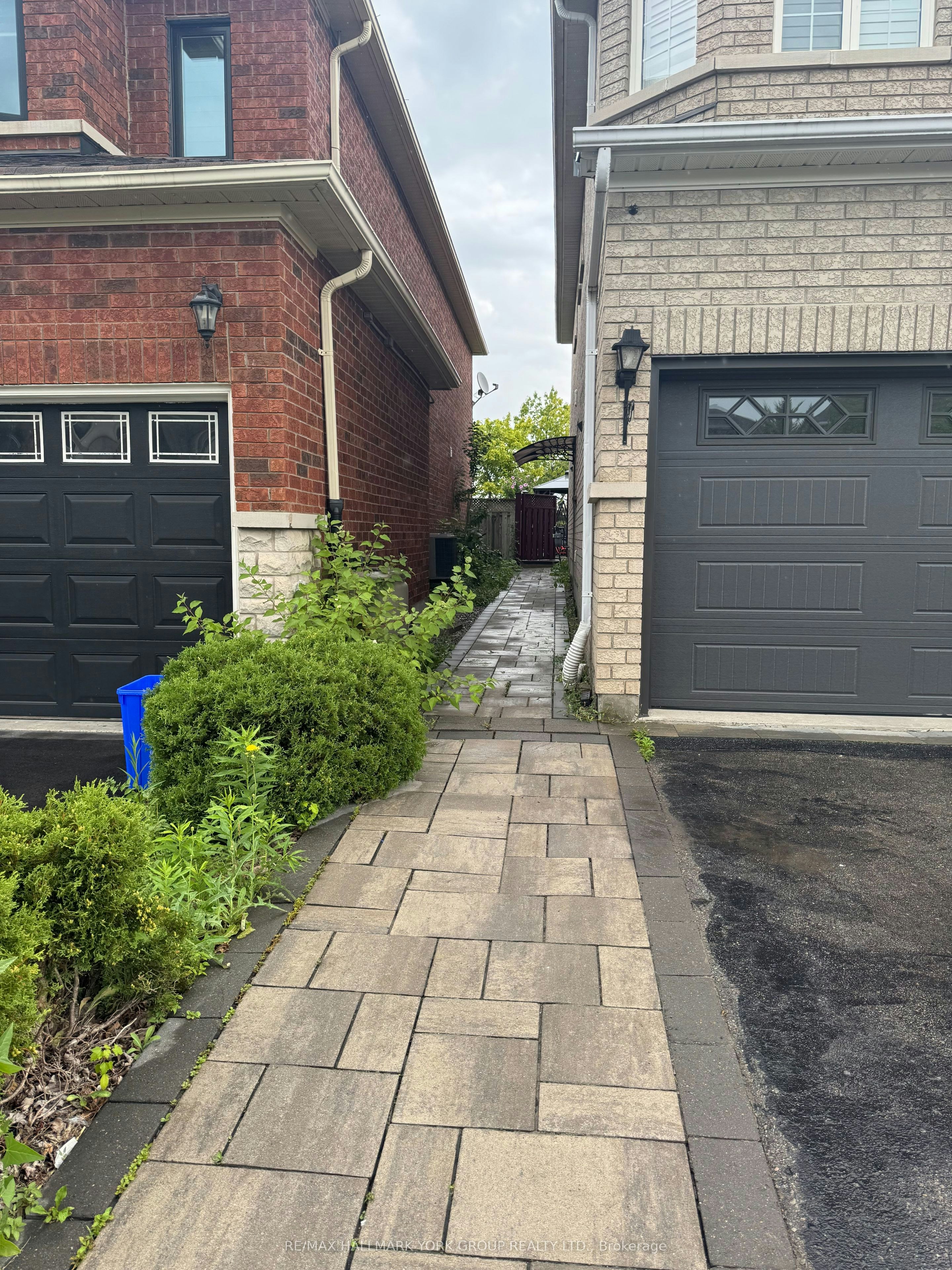 BASEMENT-33 Deerwood Crescent, Richmond Hill, ON, L4E 3V4 - 2